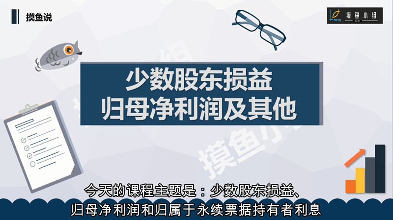 读懂报表寻找十倍牛股，财报分析之少数股东损益